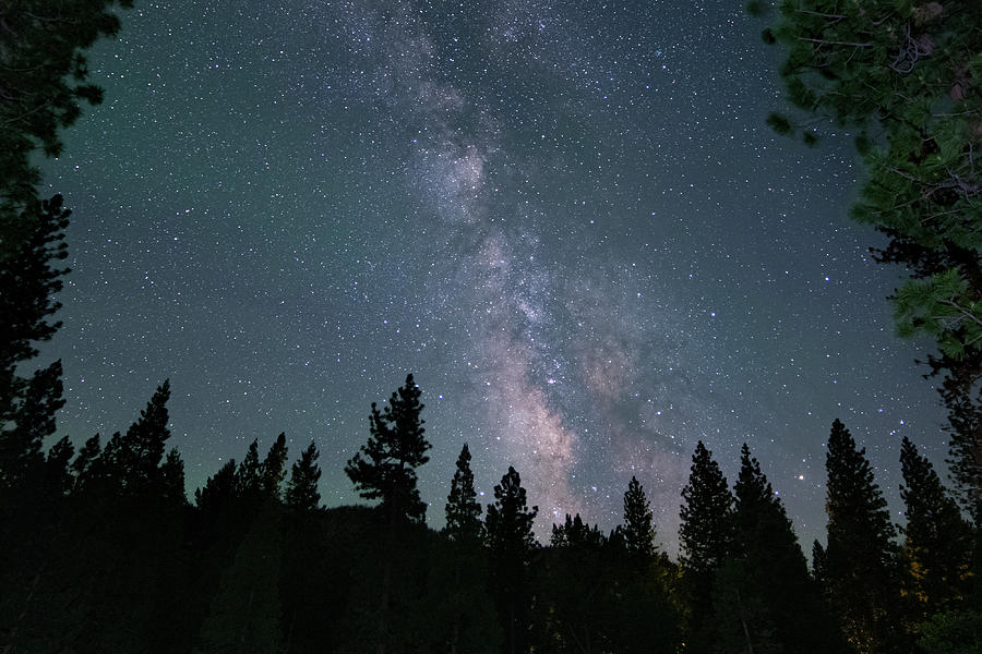 Starry Night Backyard 1 Photograph by Randy Robbins - Fine Art America