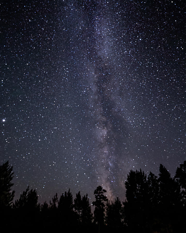 Starry night Photograph by Chris Allmendinger - Fine Art America