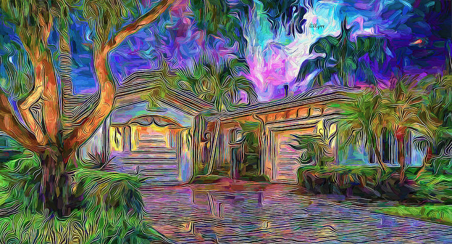 Starry night in Florida 3 Painting by Nenad Vasic