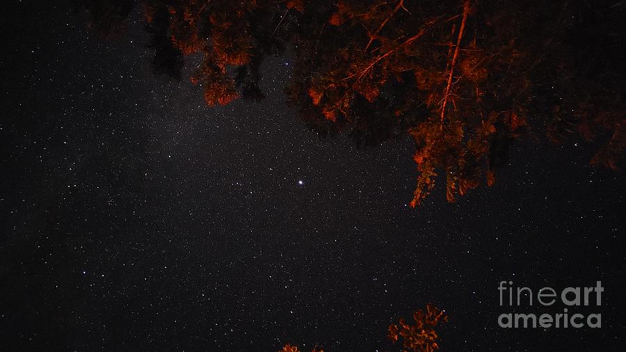 Starry Night Sky Photograph by Marcel Stevahn