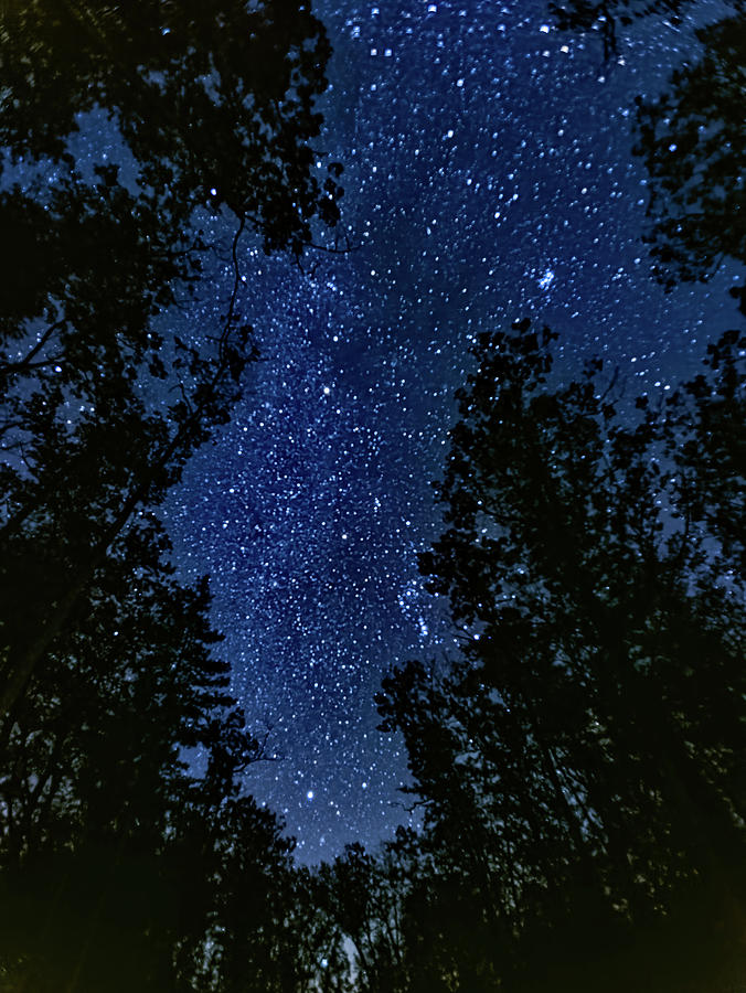 Starry Night South State Park Photograph by Joe Holley
