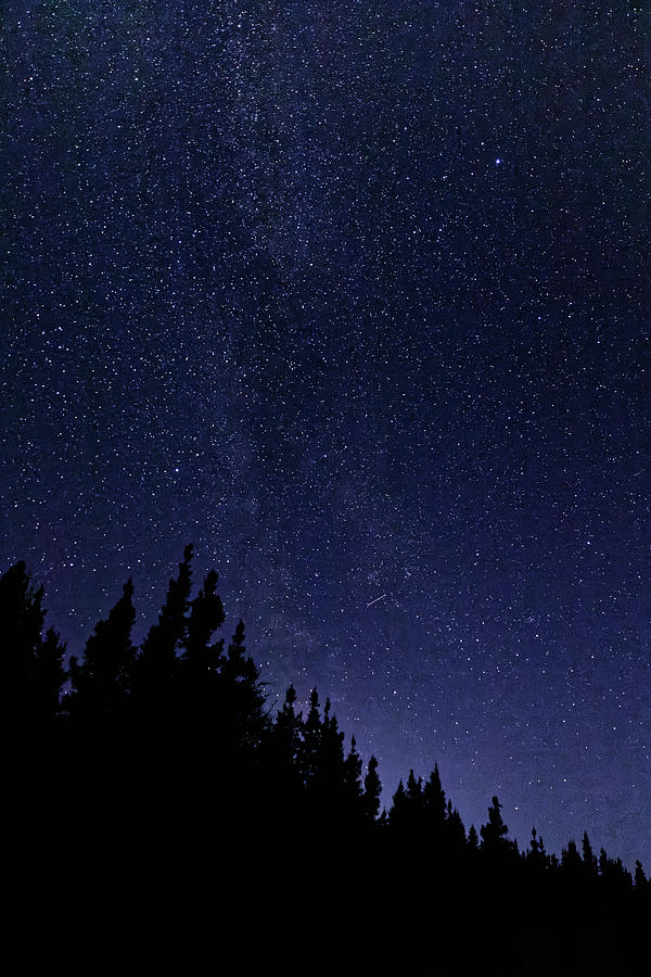 Starry Skies Photograph by Doolittle Photography and Art - Pixels