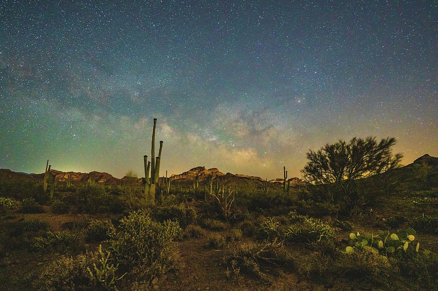 Starry Southwest Milky Way Photograph by Exploretography Gallery | Fine ...