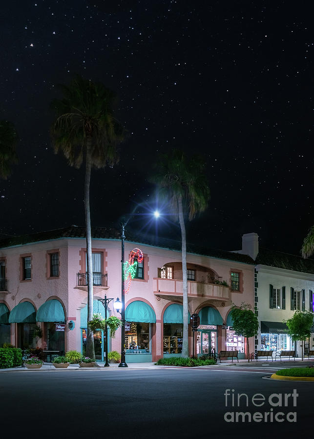 Starry Starry Christmas in Venice, Florida 2 Photograph by Liesl Walsh