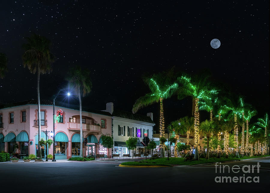 Starry Starry Christmas in Venice, Florida Photograph by Liesl Walsh