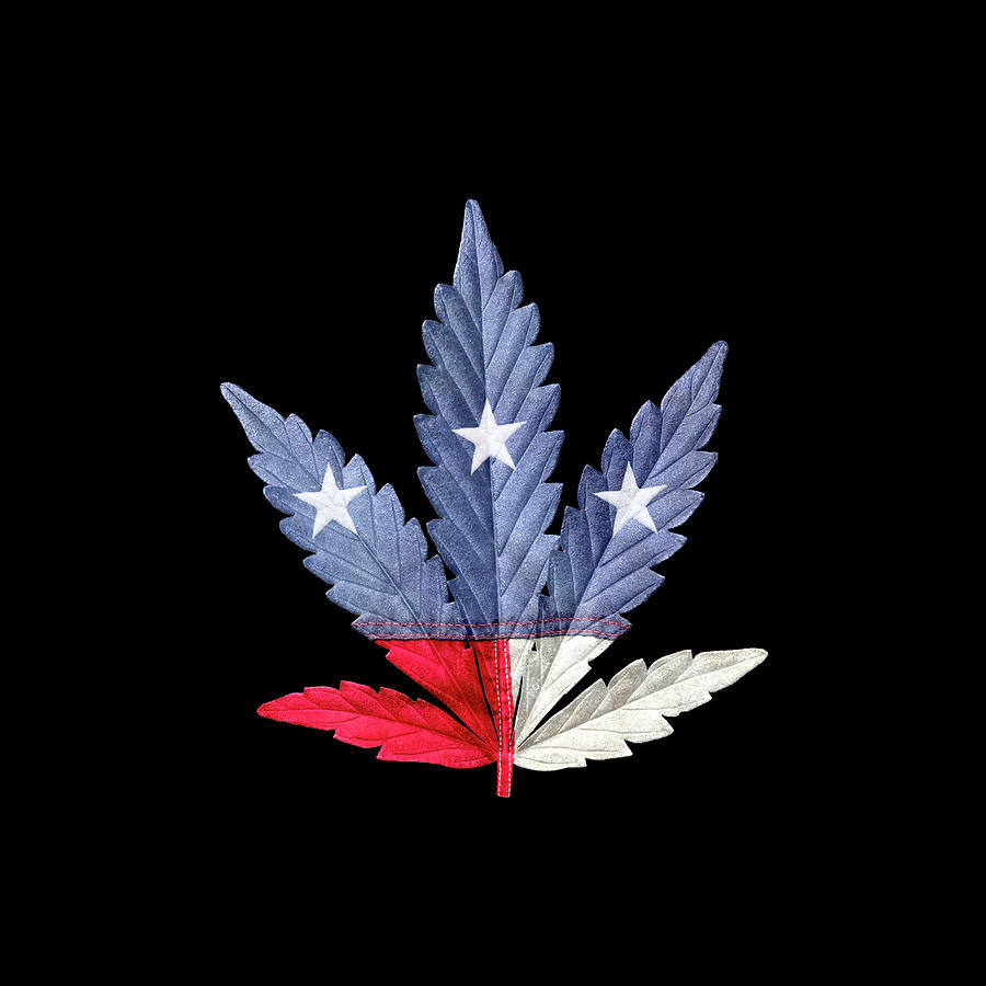 Stars and Stripes Cannabis Leaf Photograph by Luke Moore