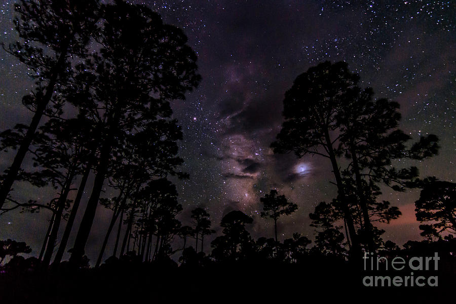 Stars In A Southern Sky Photograph By James Hoffman