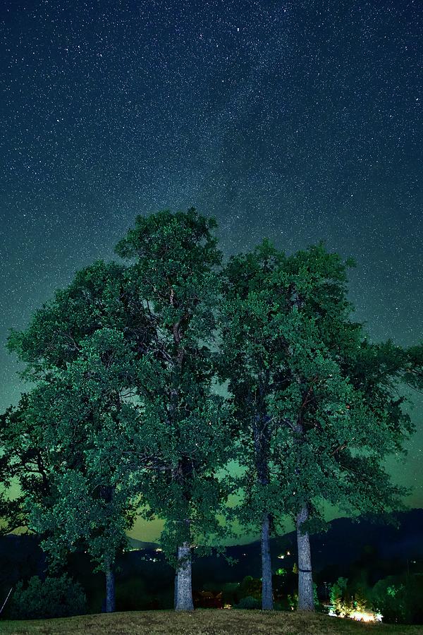 Stars Night and Trees  Photograph by Frozen in Time Fine Art Photography