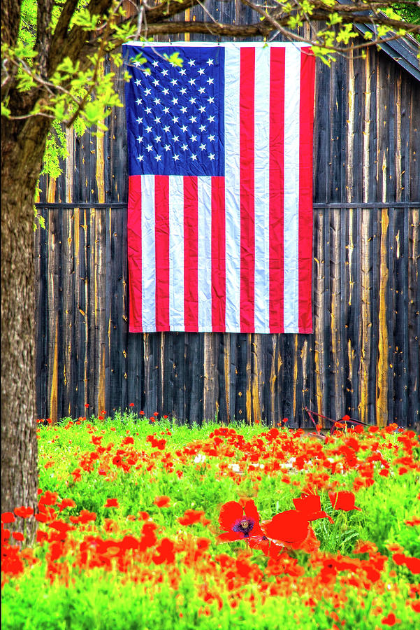 Stars, Stripes and Red Poppies Photograph by Lynn Bauer