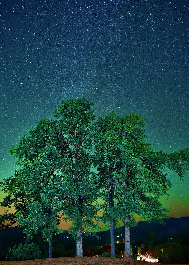 Stars Trees Nature at its Best Photograph by Frozen in Time Fine Art Photography