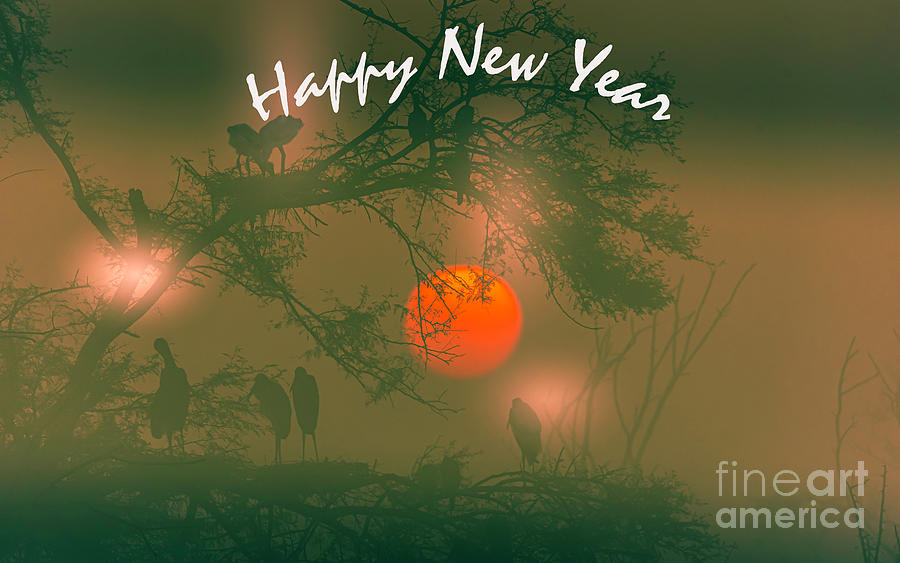 Start of a New Year Digital Art by Pravine Chester