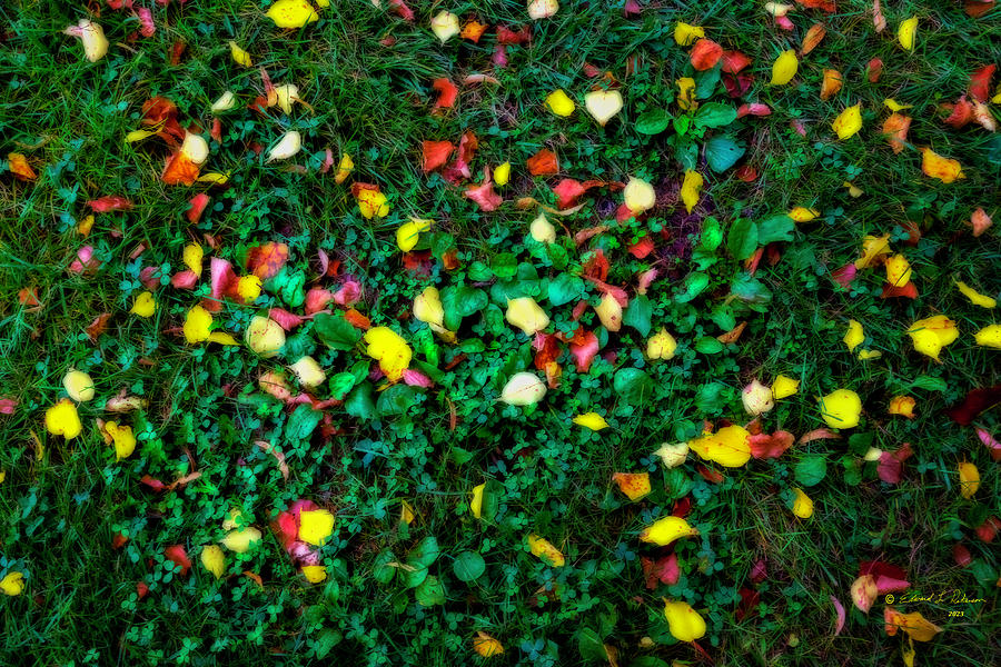 Start Of Autumn Photograph by Ed Peterson Start Of Autumn Photograph by Ed Peterson