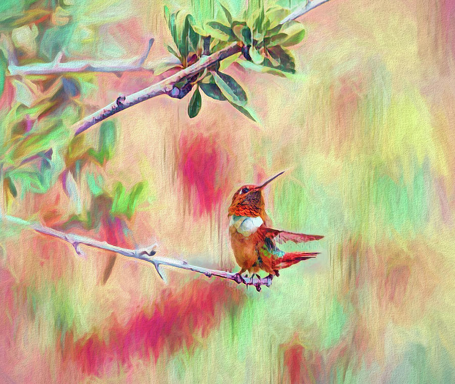 Startled Hummingbird Abstract 1 Mixed Media by Linda Brody