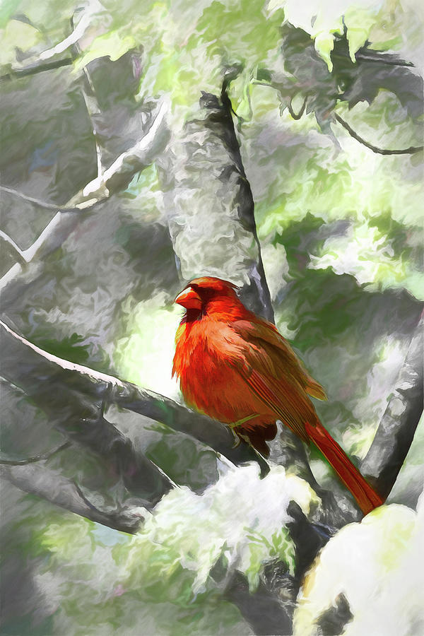 State Bird Digital Art by John Haldane