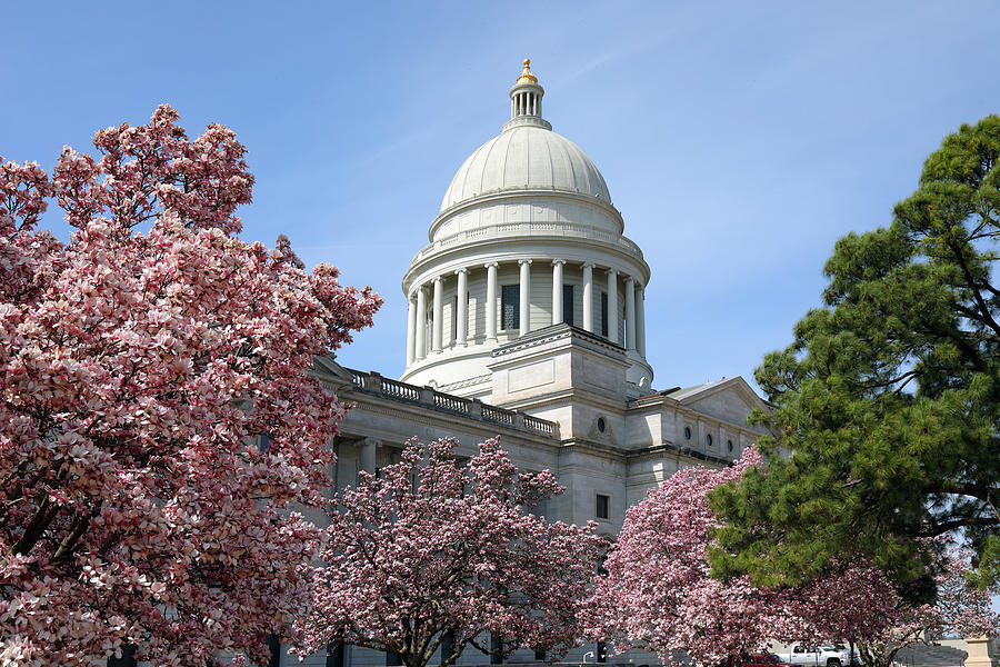 State Capitol of Arkansas in spring Photograph by Rainer Grosskopf