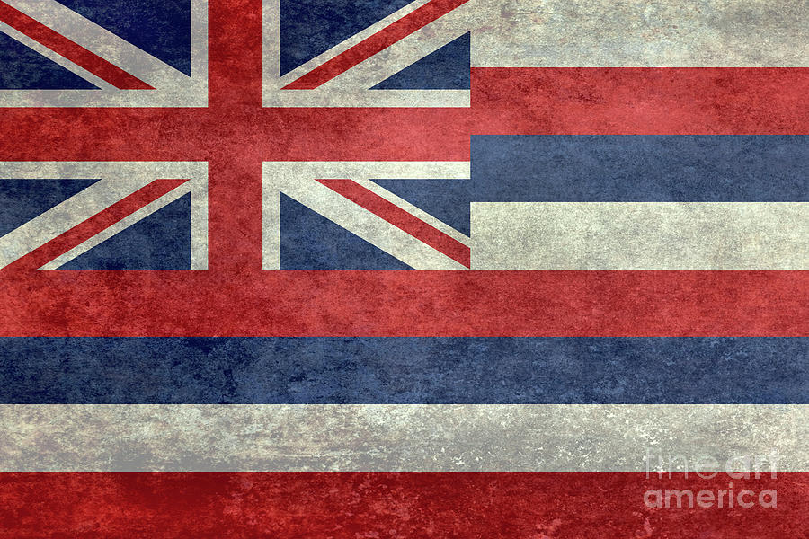 State flag of Hawaii Digital Art by Sterling Gold