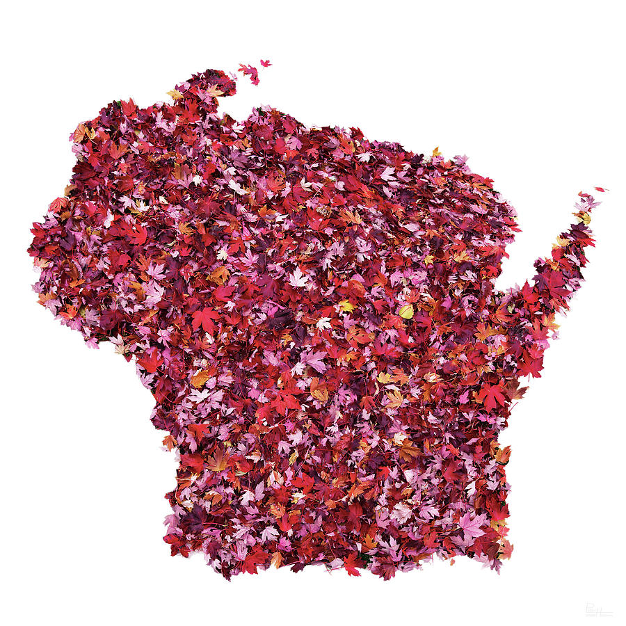 State Map of Wisconsin in brilliant red fall leaves Photograph by Peter Herman