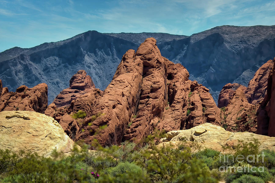Nature Photograph - State Park Overton Nevada Aztec Rock Formations  by Chuck Kuhn