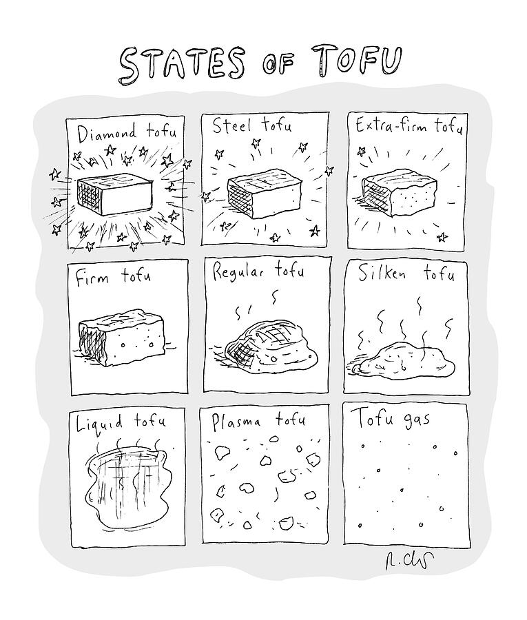 States Of Tofu Drawing by Roz Chast