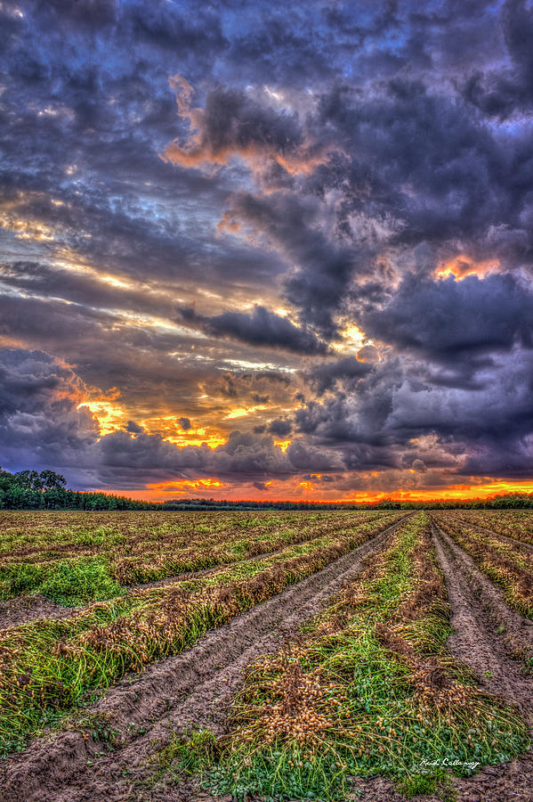 Statesboro GA Majestic Storm Clouds and Peanuts South Georgia Sandy Soil Farming Landscape Art Photograph by Reid Callaway