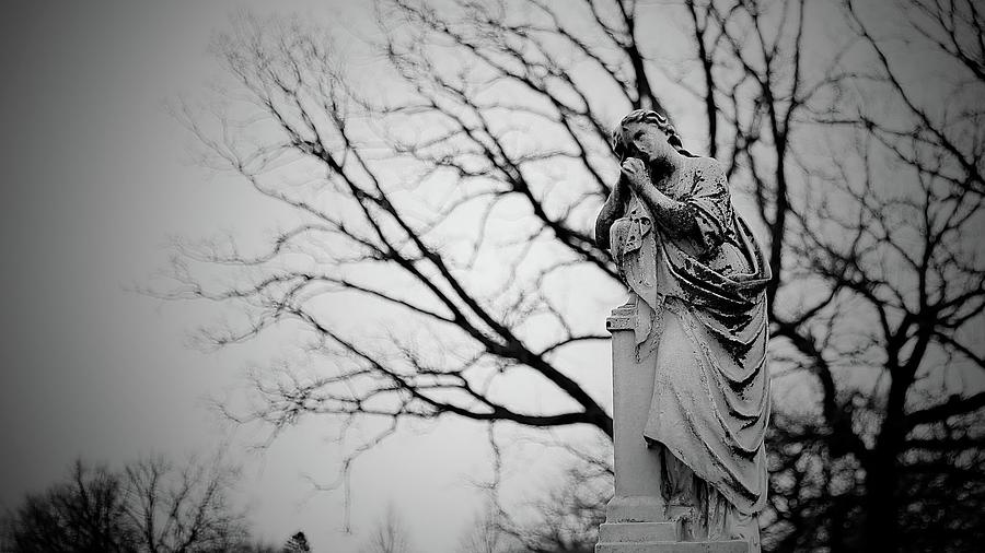 Statuary 1 Photograph by Carol Jorgensen