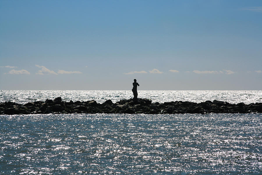 Nature Photograph - Statue in the sea by Pamela Ranya