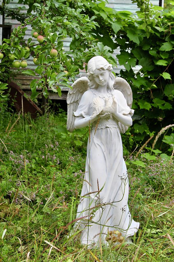 Statue of angel holding a dove in garden Photograph by Nadine Mot ...