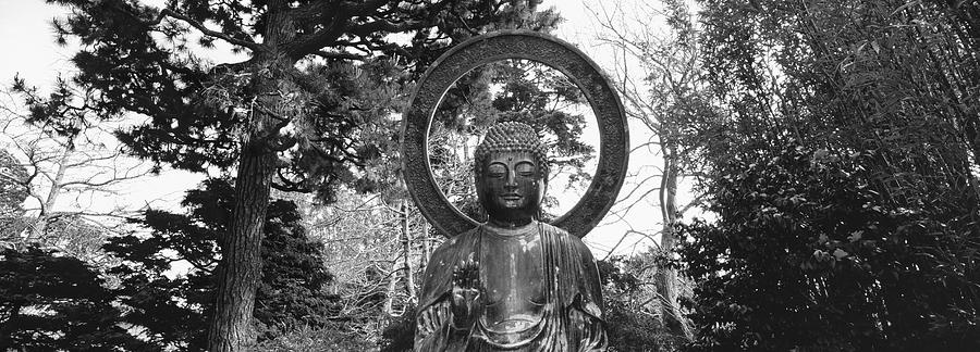 Statue of Buddha in a park, Japanese Tea Garden, Golden Gate Park, San Francisco, California, USA Photograph by Panoramic Images