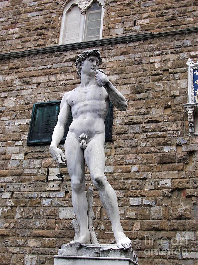 Statue Of David By Michelangelo In Florence Photograph