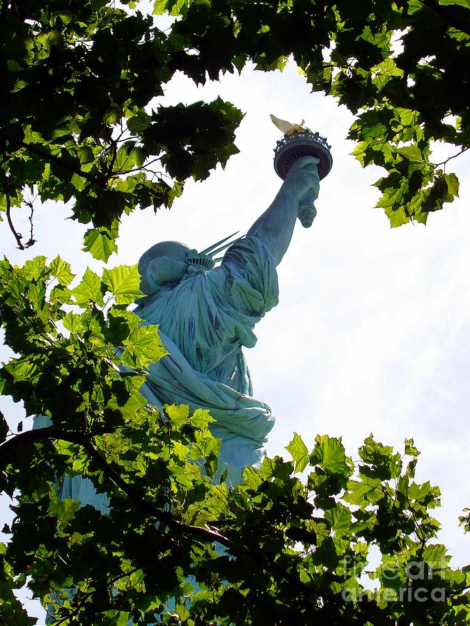 Statue of Liberty Photograph by Thomas Schroeder