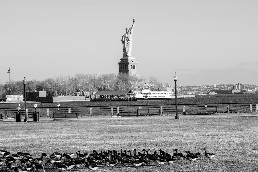 Statue of liberty with ducks Photograph by Habib Ayat