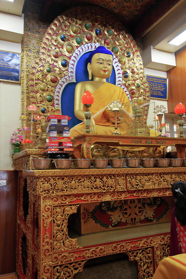 Statue of the Buddha at the  Dalai Lama Temple Photograph by Aidan Moran