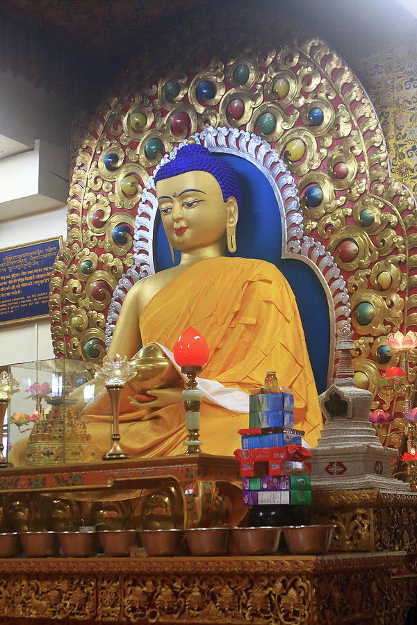 Statue of the Buddha in Namgyal Monastery Photograph by Aidan Moran