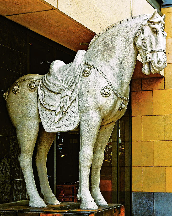 Statuesque Horse Photograph by Andrew Lawrence