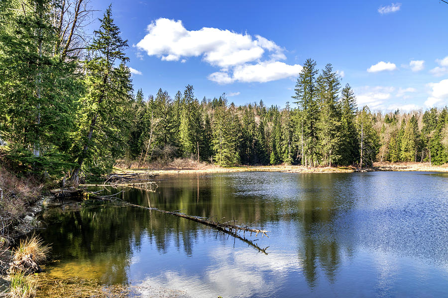 Stave Lake and Reservoir Photograph by Elaine Fleury - Fine Art America