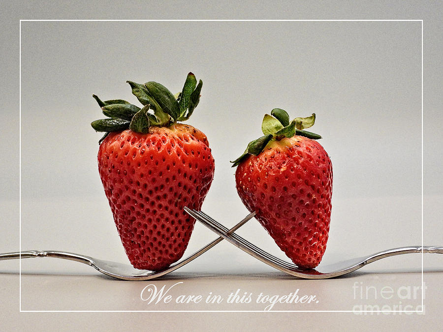 Stawberries - We Are In This Together Photograph by Ella Kaye Dickey