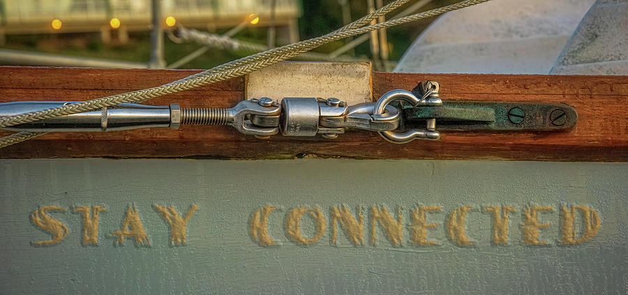 Stay Connected Photograph by Bill Posner