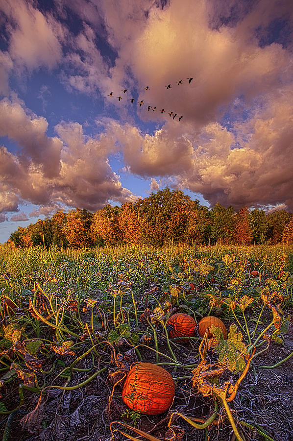 Stay For Just A While Photograph by Phil Koch