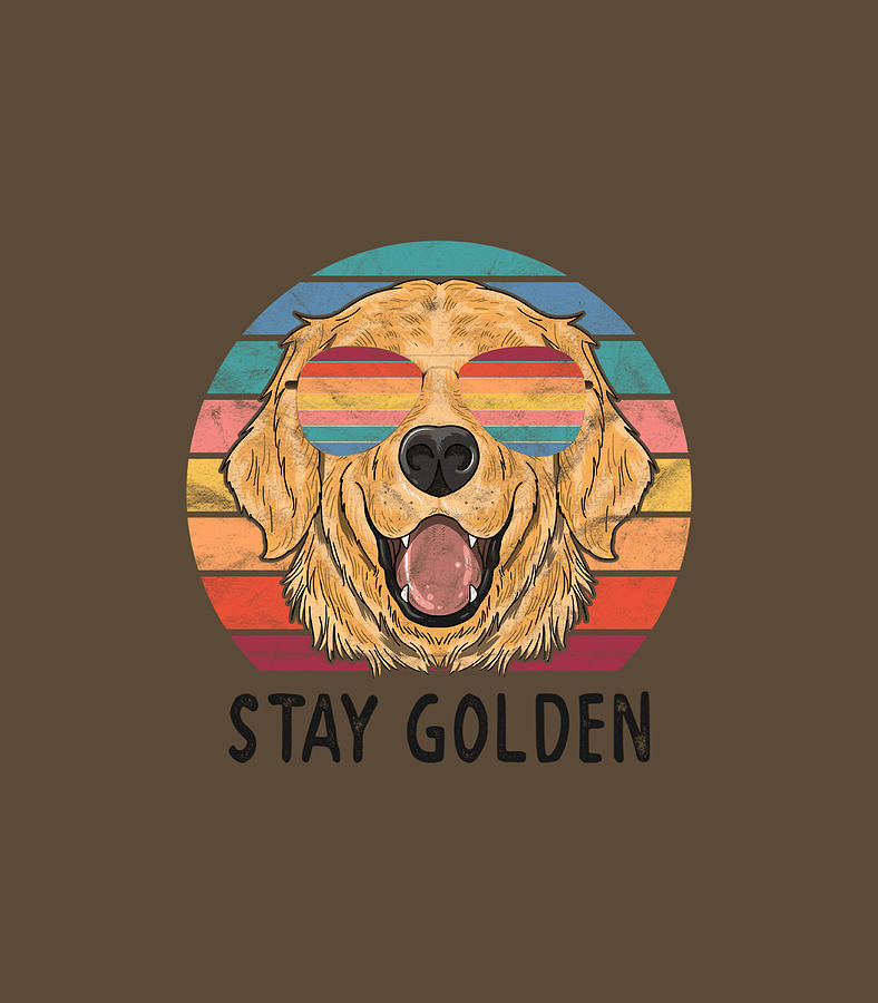 Stay Golden Retriever Dogs Digital Art by Fabio Kaianna | Fine Art America