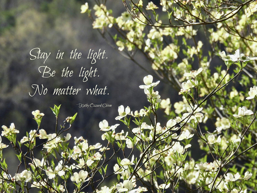 Stay In The Light Photograph by Kathy Ozzard Chism