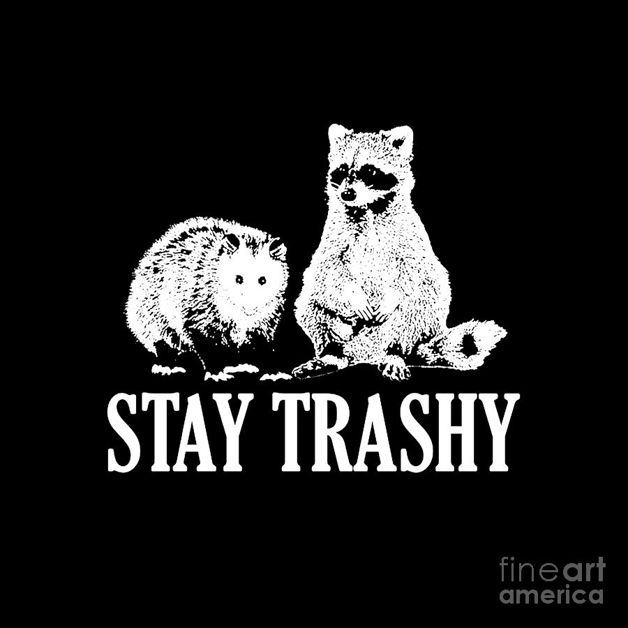 Stay Trashy Possum Raccoon Drawing By Awin Suharto Fine Art America