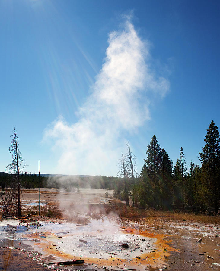 Steam and Sun Minute Geyser Photograph by Marilyn Hunt