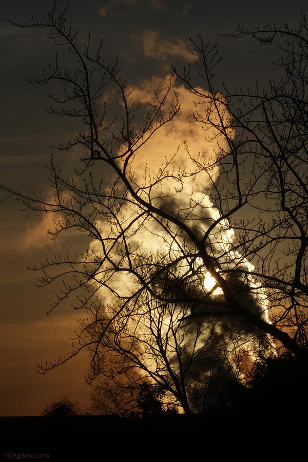 Steam Cloud Holding the Sun December 27 2020 Photograph by Miriam A Kilmer