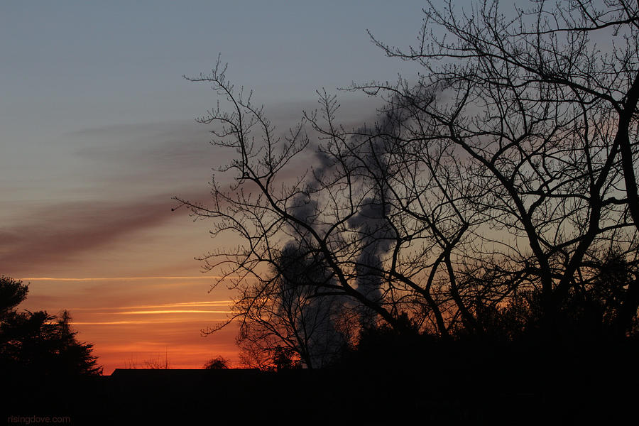 Steam Clouds at Dawn December 27 2020 Photograph by Miriam A Kilmer