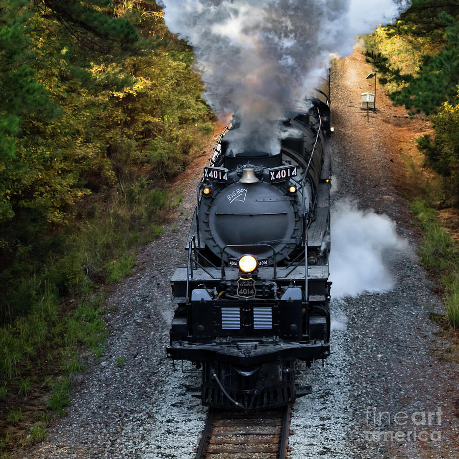 Steam Locomotive UP 4014 #3 Photograph by Lawrence Burry