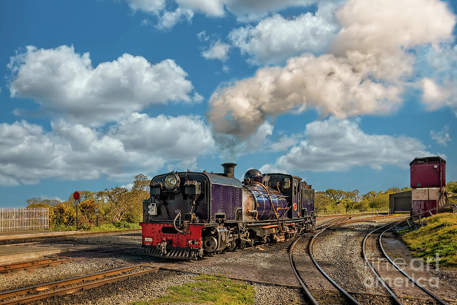 Train Photograph - Steam Locomotive  No 87 Wales by Adrian Evans