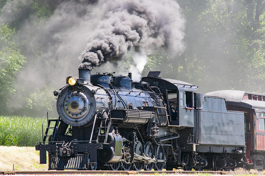 Steam Passenger Train Pulling into Picnic Photograph by Greg Kelton