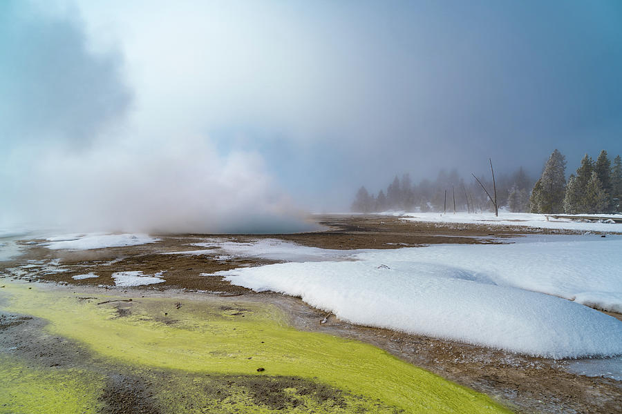 Yellowstone National Park Photograph - Steam Pot by Jo Ann Tomaselli