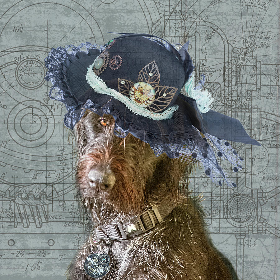Steam Punk Dog Photograph by Jean Gill