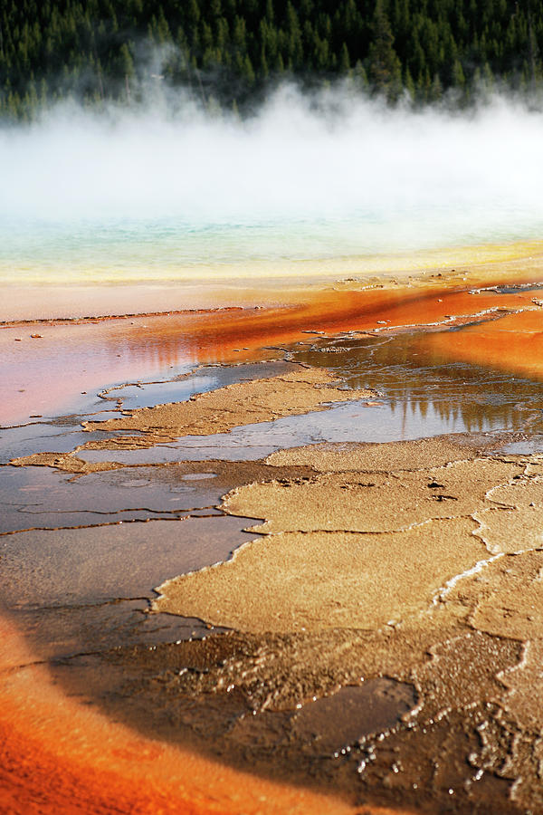 Steam Rising from Grand Prismatic Spring Photograph by Marilyn Hunt